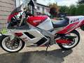 Yamaha FZR 1000 FZR 1000 Exup 3LE mit Superbikelenkerumbau Wit - thumbnail 2