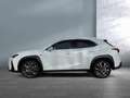 Lexus UX 250h F-Sport Design bijela - thumbnail 2