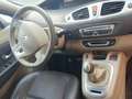 Renault Scenic Scénic III Privilège 1,9 dCi DPF Privilège Beige - thumbnail 6