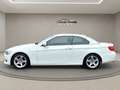 BMW 320 i Cabrio Leder Xenon PDC Sitzheiz Sportsitz Weiß - thumbnail 13
