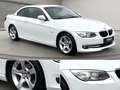 BMW 320 i Cabrio Leder Xenon PDC Sitzheiz Sportsitz Weiß - thumbnail 6