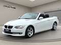 BMW 320 i Cabrio Leder Xenon PDC Sitzheiz Sportsitz Weiß - thumbnail 2