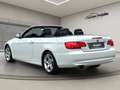 BMW 320 i Cabrio Leder Xenon PDC Sitzheiz Sportsitz Weiß - thumbnail 12