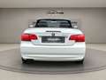 BMW 320 i Cabrio Leder Xenon PDC Sitzheiz Sportsitz Weiß - thumbnail 10