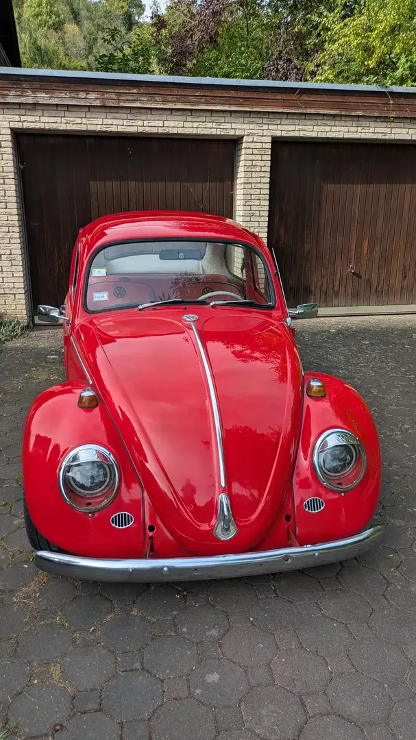 Volkswagen Käfer Rosso - 2