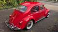 Volkswagen Käfer Rosso - thumbnail 9