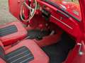 Volkswagen Käfer Rosso - thumbnail 5