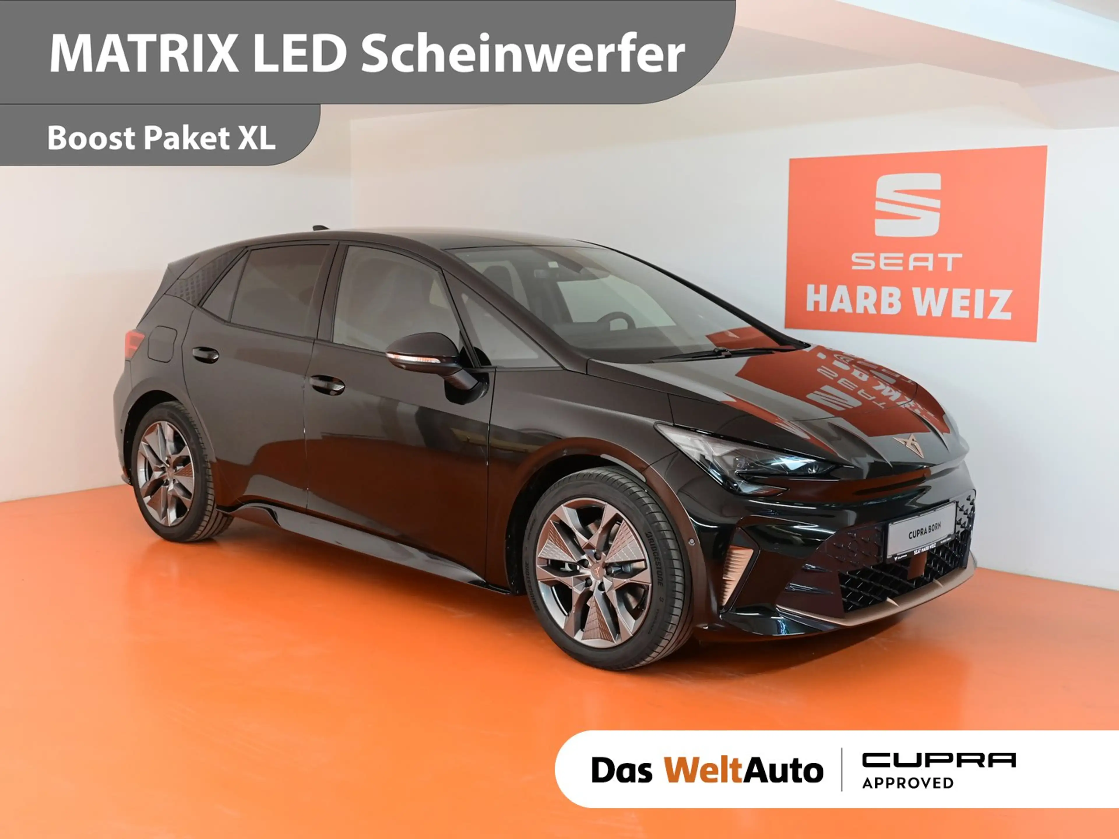 CUPRA Born ENDURANCE 79/84 170kW/231PS