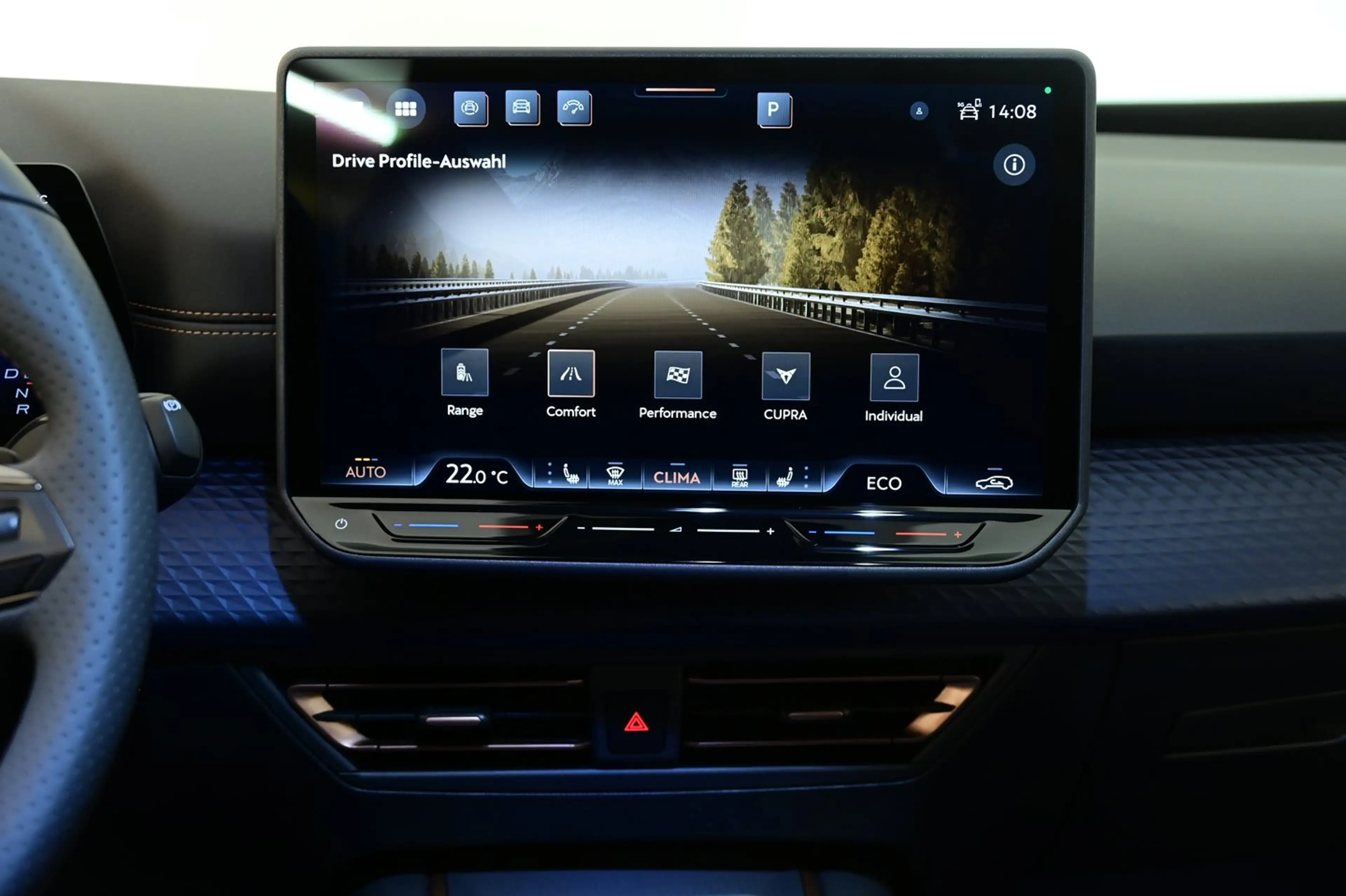 CUPRA Born ENDURANCE 79/84 170kW/231PS — photo 15