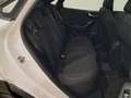 Ford Puma 1.0 EcoBoost 125cv Titanium MHEV TITANIUM Blanc - thumbnail 14