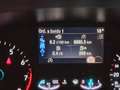 Ford Puma 1.0 EcoBoost 125cv Titanium MHEV TITANIUM Weiß - thumbnail 6