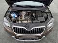 Skoda Yeti Elegance Outdoor / Navi - Bi-Xenon - PDC Braun - thumbnail 18