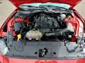 Ford Mustang 2.3 RESTYLING 10 MARCE-KIT SHELBY 500-IVA ESPOSTA Czerwony - thumbnail 9