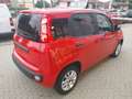Fiat Panda Panda 1.2 Lounge s Rosso - thumbnail 5