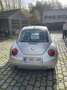 Volkswagen Beetle - thumbnail 4