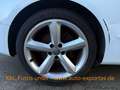 Audi A5 1.8 125kW S-Line,Klimatronik,Xen,SHZ,LederAlu Weiß - thumbnail 17