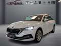 Skoda Octavia Combi Sitzheizung Blanc - thumbnail 1