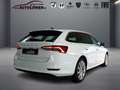 Skoda Octavia Combi Sitzheizung Blanc - thumbnail 4