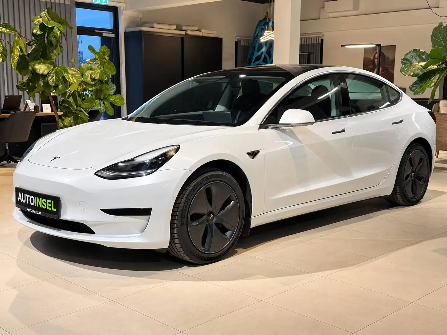 Tesla Model 3 Standard-Range-Plus Navi+Kamera+Panorama+Tempomat+1.Besitz - 2