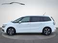 Citroen Grand C4 Picasso Selection / 7 Sitzer / Led / Panorama Dach / Navi Weiß - thumbnail 8