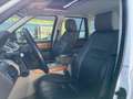 Land Rover Range Rover Sport 3.0SDV6 HSE Aut. Weiß - thumbnail 11