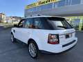 Land Rover Range Rover Sport 3.0SDV6 HSE Aut. Weiß - thumbnail 14