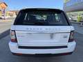 Land Rover Range Rover Sport 3.0SDV6 HSE Aut. Weiß - thumbnail 15