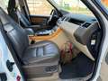 Land Rover Range Rover Sport 3.0SDV6 HSE Aut. Weiß - thumbnail 5