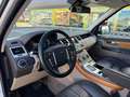 Land Rover Range Rover Sport 3.0SDV6 HSE Aut. Weiß - thumbnail 8