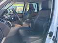 Land Rover Range Rover Sport 3.0SDV6 HSE Aut. Weiß - thumbnail 10