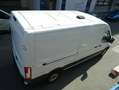 Ford Transit 350 TDCI 2,0 Diesel L3 FWD,Regalsystem,Navig,Klima Blanc - thumbnail 12