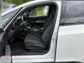 CUPRA Born 170 Garantie ACC Standhzg PDC Sitzhzg Sport Blanc - thumbnail 12