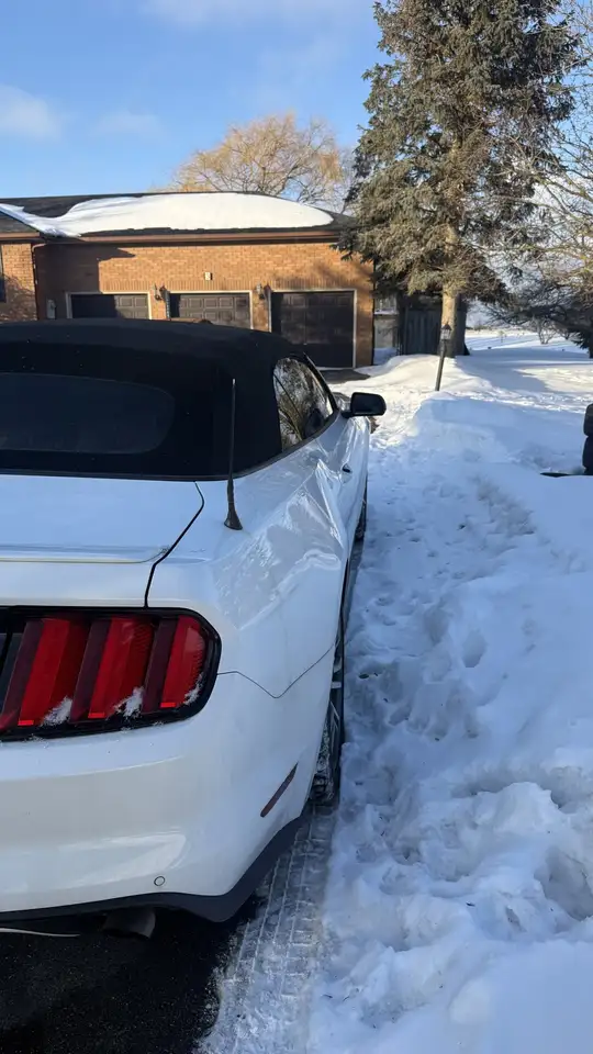 Ford Mustang снимка Ford Mustang