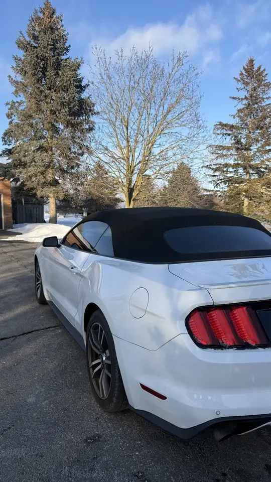 Ford Mustang снимка Ford Mustang