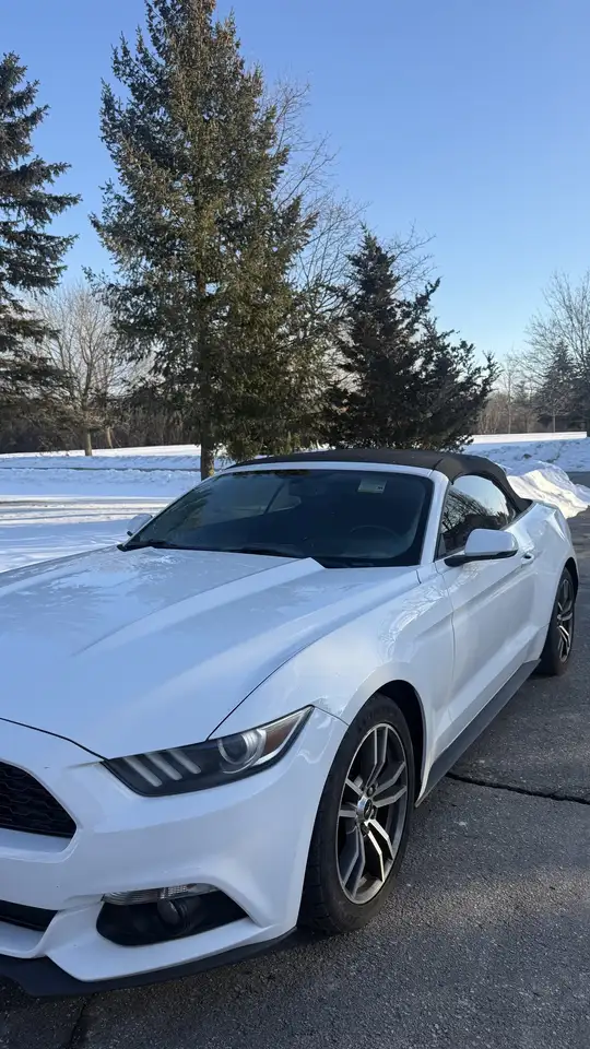 Ford Mustang снимка Ford Mustang