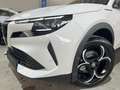 Alfa Romeo Junior 1.2 136CV Hybrid eDCT6 Speciale +TECHNO/LED MATRIX Bianco - thumbnail 4
