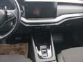 Skoda Octavia 4x4 Ambition TDI DSG Silber - thumbnail 11