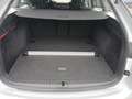 Skoda Octavia 4x4 Ambition TDI DSG Silber - thumbnail 20