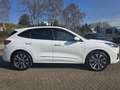 Ford Kuga 2.5 PHEV ST-Line X 225pk | Panoramadak | 20 inch m Wit - thumbnail 2