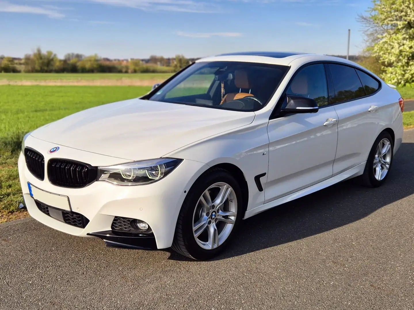 BMW 335 335d xDrive GT Aut. M Sport Alb - 1