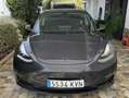 Tesla Model 3 Model 3LR Dual Motor AWD Performance Plateado - thumbnail 1