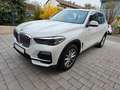 BMW X5 xDrive 25d Aut.NAVI*LEDER*SHZ*360-KAMERA*SPUR Weiß - thumbnail 1