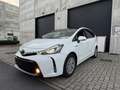 Toyota Prius+ 7Pl Lounge Full Cuir Pano 4.500km ! TVA Déduct. Blanc - thumbnail 9