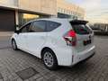 Toyota Prius+ 7Pl Lounge Full Cuir Pano 4.500km ! TVA Déduct. Blanc - thumbnail 7