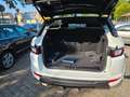 Land Rover Range Rover Evoque HSE Dynamic Weiß - thumbnail 5