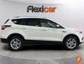 Ford Kuga 1.5 EcoB. Auto S&S Titanium 4x2 150 Blanc - thumbnail 9