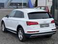 Audi Q5 2,0 TDI quattro S-tronic*APPLE CARPLAY*PDC*SHZ*LED Weiß - thumbnail 2