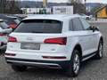 Audi Q5 2,0 TDI quattro S-tronic*APPLE CARPLAY*PDC*SHZ*LED Weiß - thumbnail 4