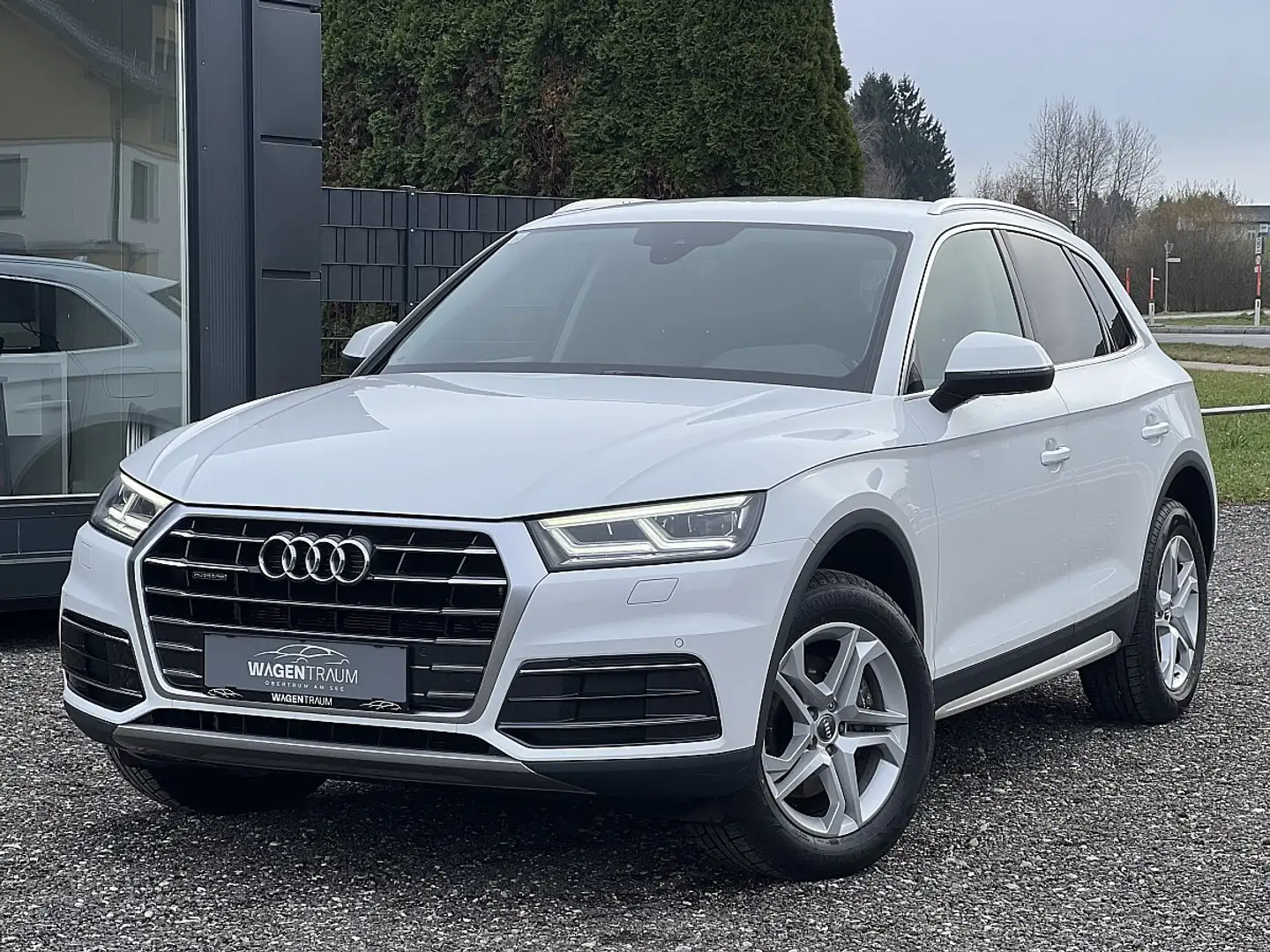 Audi Q5 2,0 TDI quattro S-tronic*APPLE CARPLAY*PDC*SHZ*LED Weiß - 1