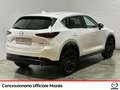 Mazda CX-5 2.2 homura 2wd 150cv auto Bianco - thumbnail 2